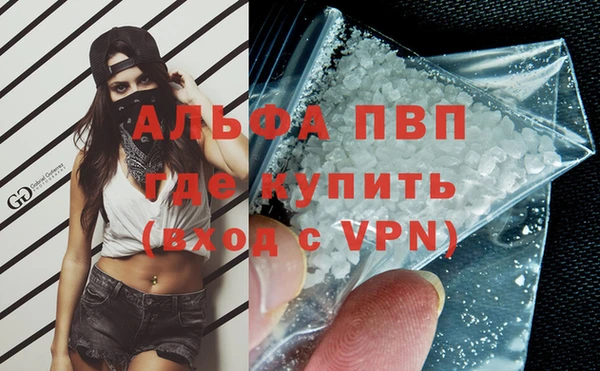 мяу мяу мука Баксан