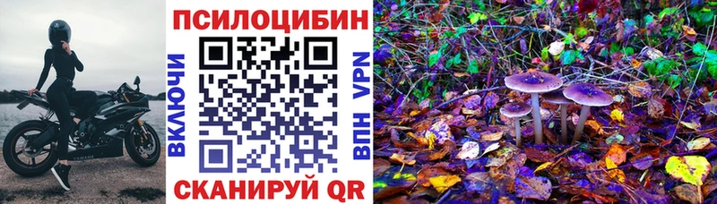 Галлюциногенные грибы мицелий  mega ссылки  Балей  продажа наркотиков 