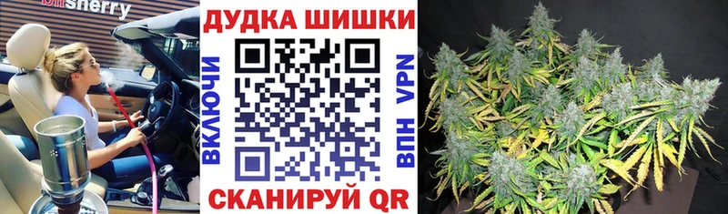 где купить наркоту  Балей  Бошки Шишки OG Kush 